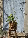 IMG_4769.webp