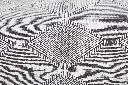1655379f-69e1-46e8-bbef-86aee0aede04.webp