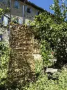 IMG_5006.webp