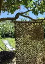 IMG_4999 (1).webp