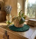 Scourtin rond 50 cm - Couleur
