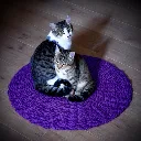 ChatGPT Image 6 janv. 2026, 11_10_49.webp