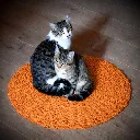 ChatGPT Image 6 janv. 2026, 11_14_58.webp