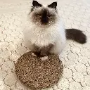 Moine Nathalie 1.webp