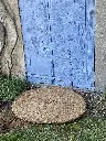 IMG_8737.webp