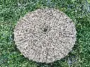 Scourtin de Provence 80 cm Natural