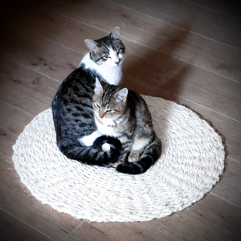 Provençal Scourtin 60 cm – Available in 11 Colors