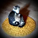 Scourtin rond 60 cm couleur