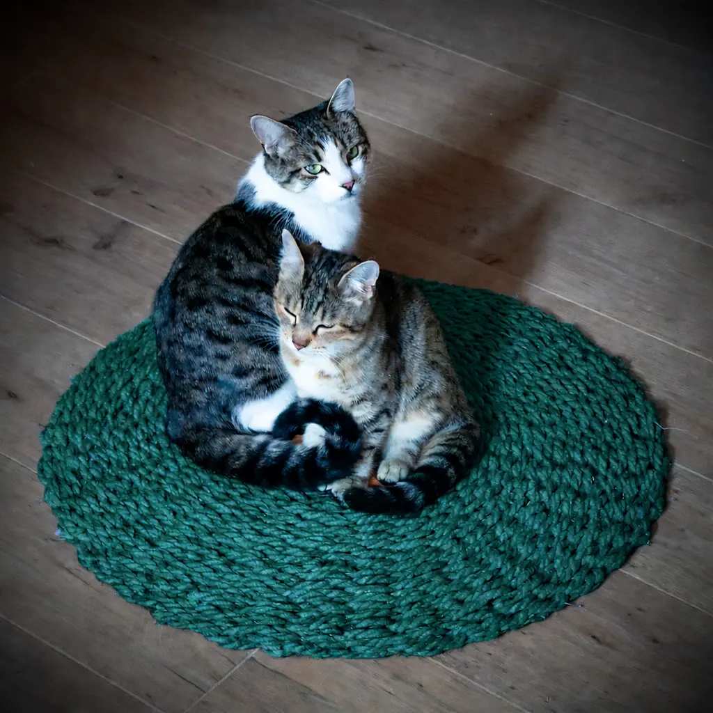 Scourtin rond 60 cm - Couleur