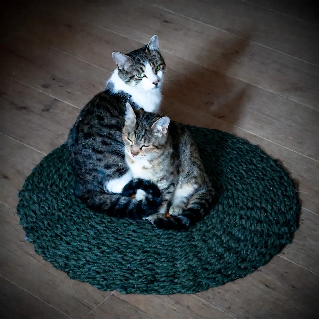 Scourtin rond 60 cm - Couleur
