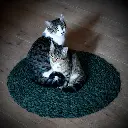 Scourtin rond 60 cm - Couleur