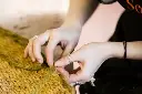 Coconut Rope by the Meter