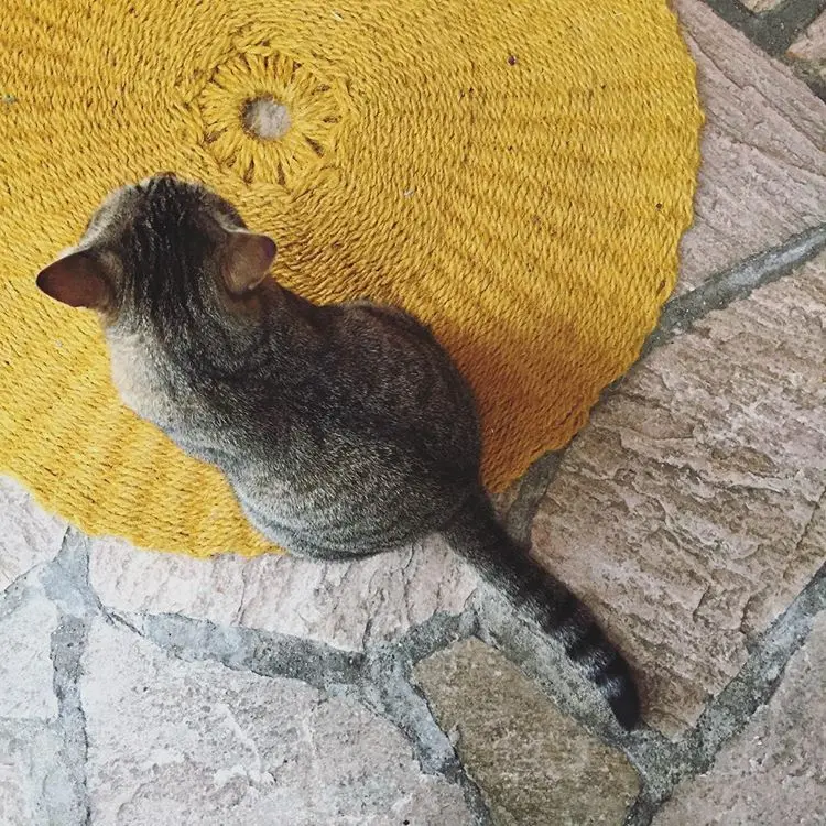 Scourtin Rond 80 cm couleur