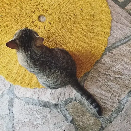 Provençal Scourtin 80 cm -  Available in 11 Colors